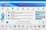 : WinTools.one Home / Professional 24.5.1