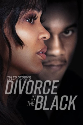 : Tyler Perrys Divorce in the Black 2024 German  AC3 DL WEBRip x265 - LDO