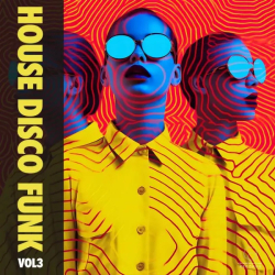 : House Disco Funk Vol.3 (2024)