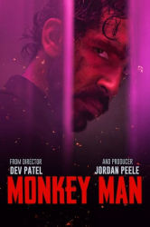 : Monkey Man 2024 Uncut German DTS 720p BluRay x265 - LDO