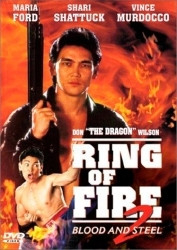 : Bloodfist Fighter 4 - Blood and Steel - Ring of Fire 2 DC 1993 German 1080p AC3 microHD x264 - RAIST