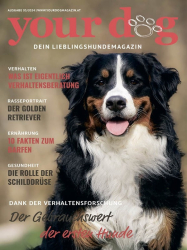 : Your Dog Nr.3 2024