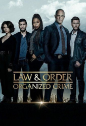 : Law And Order Organized Crime S04E01 German Dl 720P Web x264-Wayne