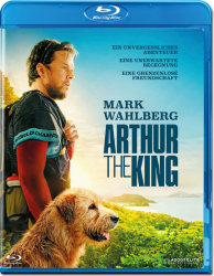 : Arthur der Grosse 2024 German DL AC3 720p WEB H265 - LDO