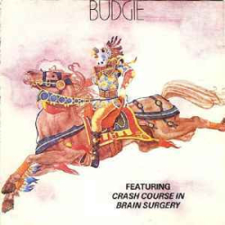 : Budgie - Collection - 1971-2010