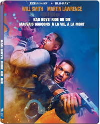 : Bad Boys Ride Or Die 2024 GERMAN WEBRiP x265 - LDO