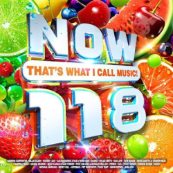 : NOW That's What I Call Music! 118 (2024) Flac