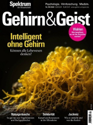 : Spektrum Gehirn & Geist Magazin September No 09 2024