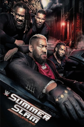 : Summerslam 2024 German AAC 1080p WEBRIP h264-WOTT