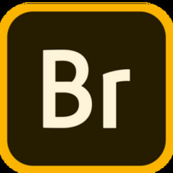 : Adobe Bridge 2024 v14.1.2 (x64)