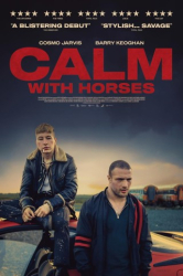 : Calm With Horses 2019 German Ac3 Dl 1080p BluRay x265-FuN