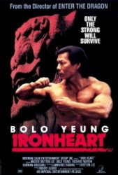 : Iron Heart - Ironheart DC 1992 German 1040p AC3 microHD x264 - RAIST