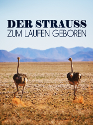 : Der Strauss - Zum Laufen geboren 2016 German Doku 1080P WebHd H264-Gwd