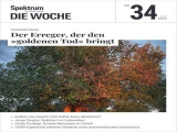 :  Spektrum Die Woche Magazin August No 34 2024