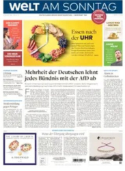 :  Die Welt am Sonntag Frühausgabe vom 24 August 2024