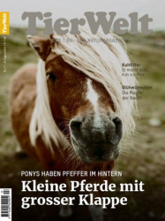 : TierWelt - Nr.17 2024