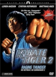 : Karate Tiger 2 - No Retreat No Surrender 2 - Raging Thunder DC 1987 German 1080p AC3 microHD x264 - RAIST