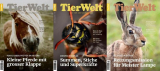 : TierWelt Magazin Hefte No 15, 16, 17 2024
