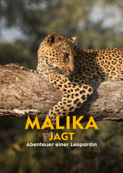 : Malika jagt Abenteuer einer Leopardin 2018 German Doku 720p Web x264-ClassiCalhd