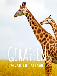 : Giraffen Giganten hautnah 2012 German Dl Doku 1080p Web x264-ClassiCalhd