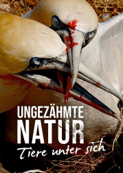 : Ungezaehmte Natur Tiere unter sich 2020 German Dl Doku 720p Web x264-ClassiCalhd