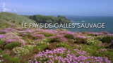 : Wildes Wales 2022 German Dl Doku 1080p Web x264-ClassiCalhd