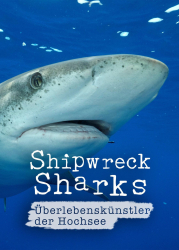 : Shipwreck Sharks Ueberlebenskuenstler der Hochsee 2019 German Dl Doku 720p Web x264-ClassiCalhd