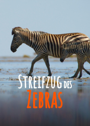 : Streifzug des Zebras 2012 German Dl Doku 1080p Web x264-ClassiCalhd