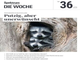 :  Spektrum Die Woche Magazin September No 36 2024