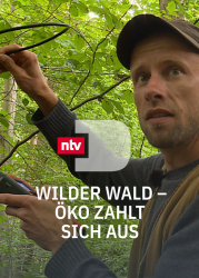 : Wilder Wald Oeko zahlt sich aus 2023 German Doku 720p Web x264-ClassiCalhd