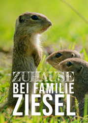 : Zuhause bei Familie Ziesel 2020 German Dl Doku 720p Web x264-ClassiCalhd