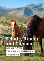 : Schafe Rinder und Canadas Die grossen Tierwanderungen Spaniens 2019 German Doku 720p Web x264-ClassiCalhd