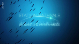 : 28 Tage unter dem Mittelmeer Station Bathyale 2020 German Doku 720p Web x264-ClassiCalhd