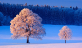 : Winterwelten Weisse Pracht voller Gegensaetze 2013 German Doku 1080p Web x264-ClassiCalhd