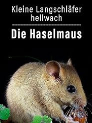 : Kleiner Langschlaefer hellwach Die Haselmaus 2013 German Doku 720p Web x264-ClassiCalhd