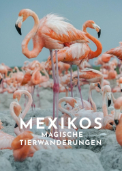 : Mexikos magische Tierwanderungen 2020 German Doku 1080p Web x264-ClassiCalhd