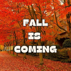 : Fall Is Coming (2024)