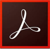 : Adobe Acrobat Pro DC 2024.003.20112 (x64)