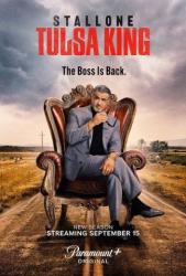 : Tulsa King S02E03 German Dl 720p Web h264-WvF