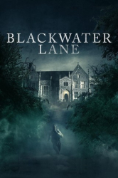 : Blackwater Lane 2024 German AC3 WEBRip x264-ZeroTwo