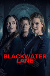 : Blackwater Lane 2024 German AC3 WEBRip x265 - LDO