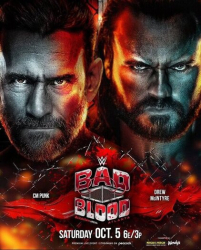 : WWE Bad Blood 2024 German WEBRiP x265-LDO