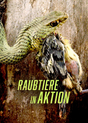 : Raubtiere in Aktion 2020 German Dl Doku 720p Web x264-ClassiCalhd