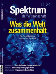 : Spektrum der Wissenschaft Magazin No 11 November 2024
