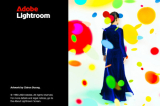 : Adobe Lightroom 8.0