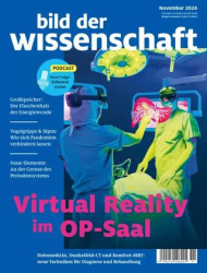 :  Bild der Wissenschaft Magazin November No 11 2024