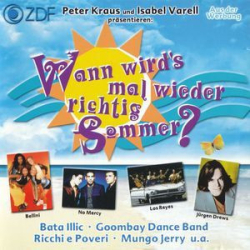 : Wann Wird's Mal Wieder Richtig Sommer (1999)