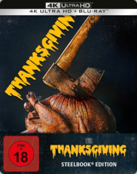 : Thanksgiving Es ist angerichtet 2023 German Dl 2160p Uhd BluRay x265-EndstatiOn