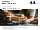 :  Spektrum der Wissenschaft Die Woche Magazin No 44 2024