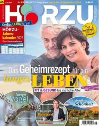 :  Hörzu Fernsehzeitschrift No 45 vom 01 November 2024